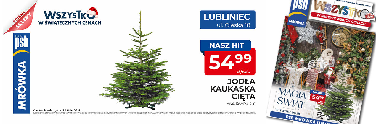 zdjęcie na stronie głównej