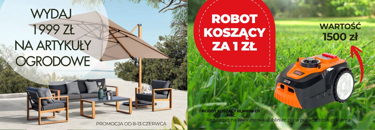 zdjęcie na stronie głównej